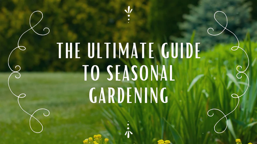 Seasonal Flower Planting Guide